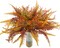 6-Pack Artificial Fall Flowers & Boston Ferns – UV-Resistant Faux Plants for Outdoor Garden, Front Porch, Sidewalk, Window Boxes & Indoor Autumn Décor (Orange)